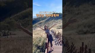 포천 산정호수 명성산 억새꽃축제