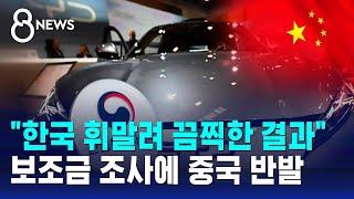 "한국 휘말려 끔찍한 결과"…보조금 조사에 중국 반발 / SBS 8뉴스