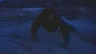 Werewolf trailer