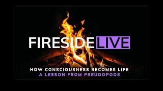 How Consciousness Becomes Life