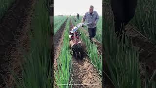 FAST Money Maker: High-Speed Trenching Machine in Action?