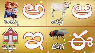 తెలుగు వర్ణమాల| అ - అమ్మ ఆ - ఆవు | Telugu Varnamala for beginners