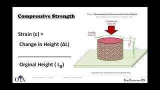 Biomechanics of fractures and fixation - 1 of 4