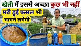 खेती में ऑर्गेनिक कल्चर का जादू | trichoderma viride | Pseudomonas | organic high power culture