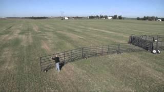 Wrangler Portable Corral Fold Out | Livestock Equipment