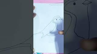 How to draw a Robin #viral #youtubeshorts #shorts #trending #new #reels #like #drawing #art