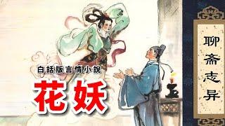 白話小說朗誦｜《聊齋志異·葛巾》刀郎的《花妖》帶火了蒲松齡