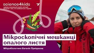 Мікроскопічні мешканці опалого листя. Мікробіологиня Євгенія Прекрасна