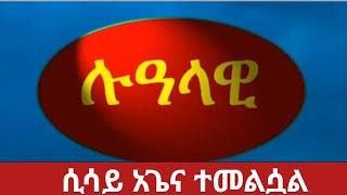 ሲሳይ አጌና Lualawi “ሉዓላዊ” ሚዲያ