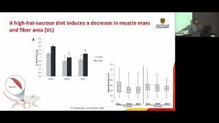 Aerobic capacity protect the musculoskeletal system in a diet-induced obesity model?  by M. Delgado