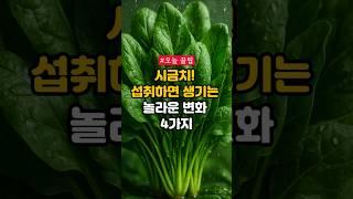 시금치! 섭취하면 생기는 놀라운 변화 4가지 #건강정보 #건강