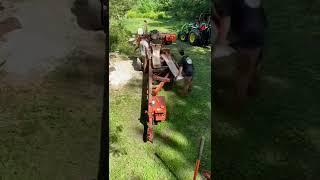 Sawmill Sunday   #shorts #sawmill #woodworking #wood