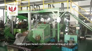 Customize all kinds of screws, we are professional