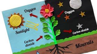 Photosynthesis Science Project/ Photosynthesis Science TLM/ TLM Easy/ Science Project/ Science TLM