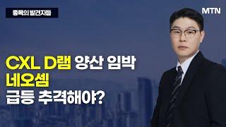 [종목의 발견자들] CXL D램 양산 임박 네오셈 급등 추격해야? / 머니투데이방송 (증시, 증권)