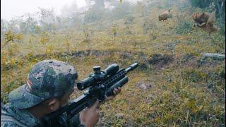 Hunting and Cooking the Most Difficult Bird in the Mountains