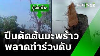 หนุ่มปีนตัดมะพร้าว โคนต้นดีดหัวร่วงกระแทกพื้นดับ | 29 พ.ย. 67 | ห้องข่าวหัวเขียว