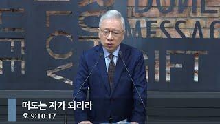 [아침예배] 떠도는 자가 되리라 (호 9:10-17 )_베이직교회_조정민 목사_20241012