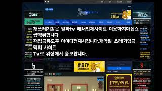 개악질 알파티비 입금먹튀 배너업체사이트