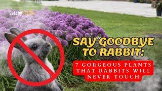 Say Goodbye to Rabbit: 7 Gorgeous Plants that Rabbits Will Never Touch  // Gardening Ideas