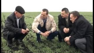 Президент Чувашии в СХА "Малалла"