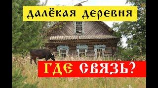 Старинная деревня в лесу. Самая дальняя жилая деревня Чухломского района. Костромская область