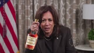 A few words from VP Kamala Harris (Altered)