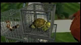Over The Hedge TV Spot (2006)