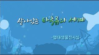 살아있는 파충류의 세계_열대생물전시실