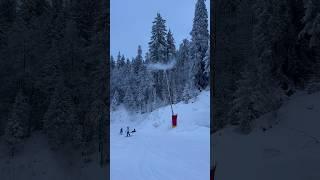  Producția de zăpadă artificială a reînceput! #snowmaking #snowgun #poianabrasov #January20
