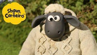 Shaun, o Carneiro [Shaun the Sheep] Bater na cabeça?  Hora Especial| Cartoons Para Crianças