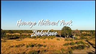 Hwange NP, Zimbabwe 2024 English 4K