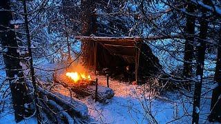 Одиночная ночевка с собакой, без палатки, в снежном лесу,  бушкрафт / Overnight in the forest