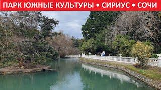 ПАРК ЮЖНЫЕ КУЛЬТУРЫ • Сириус, Сочи, Адлер #ПаркЮжныеКультуры #Сочи #Сириус