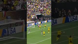 ️ Gregor Kobel OUTSTANDING 