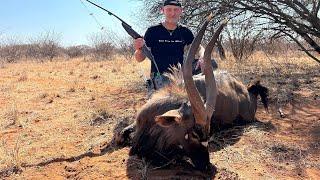 Nyala bull with a longbow - Tales From the Willows - Sofala Safaris - Traditional Bowhunting