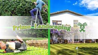 Primo Landscaping