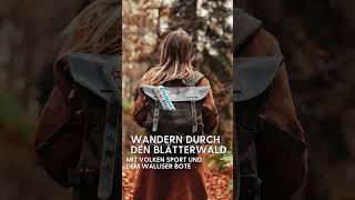 Wandern durch den Blätterwald.