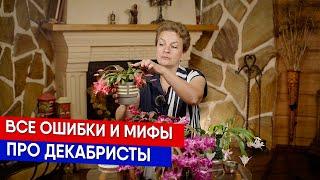 Все ошибки и мифы про декабристы