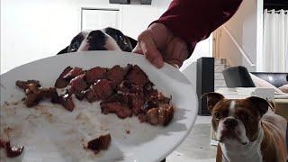 Leaving My Dogs Alone With a Plate Full Of Juicy Steak