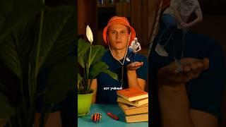 Кот Учёный отвечает на вопрос - кто такой Пердамен? ‍️#образование #scp #юмор #скибидитуалет