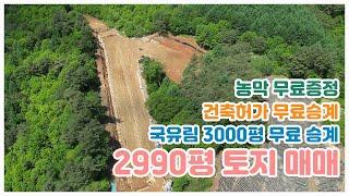 (매도인 변심으로 매매 보류)농막과 국유림 3000평이 덤인데 건축도 가능한, 약 2990평 토지를 소개합니다~!