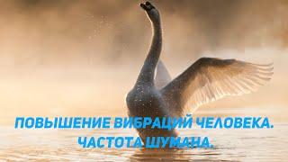 Повышение вибраций человека. Резонанс Шумана.