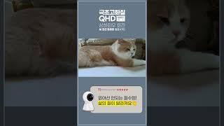  K90 서포터즈 후기 
