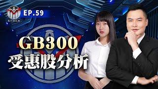 GB300升級受惠股！1.6T光源概念股 #立碁 #弘凱 搭順風車？光電晶片高要求！LED概念股 #光鋐 #鼎元 發動？║王映亮║2024.12.24