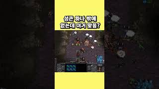 성큰 하나 밖에 없는데 이거 맞나요? #스타크래프트 #래더 #전략 #게임 #저그 #테란 #성큰