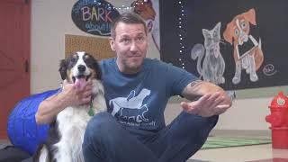 AGILITY WITH BRANDON MCMILLAN