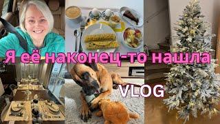 VLOGШопинг в IKEA/Новые игрушки/Завтрак/Кухня мечта/Что купили/Наша новая ёлка/Очень довольна