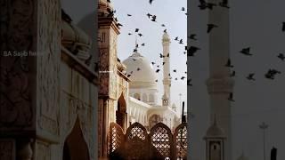 The most beautiful religion in the world  | Beautiful Islamic status ️ #shorts #viral #stutas