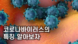 우리를 공포에 떨게 만드는 코로나바이러스의 특징 / YTN 사이언스